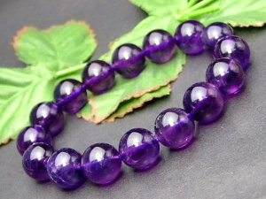 18467Y⍡̔z12mm5AAWXguXbgӕʍρE{ۏ؁yVňlɒ큜uWYVR΁p[Xg[