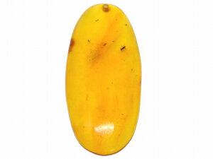 67671@@̔z 킯  Ao[  48mm×21mm 1 [X   y_ggbv  LVRY VR p[Xg[