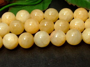 g3-1141C@ASiCg 12mm A 1 ӕʍρE{ۏ Y lR|X VR p[Xg[