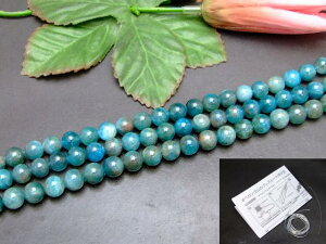 g3-2225A�@�@�A�p�^�C�g 8mm A 1�A39cm �ʂ��j�A������A1m�S���t�� �ӊD�� �������� �u���W���Y �V�R�� �p���[�X�g�[��