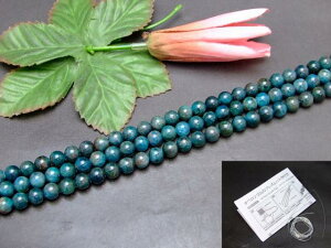 g3-2225C�@�@�A�p�^�C�g 8mm A 1�A39cm �ʂ��j�A������A1m�S���t�� �ӊD�� �������� �u���W���Y �V�R�� �p���[�X�g�[��