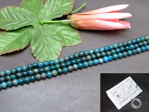 g3-2225M�@�@�A�p�^�C�g 6mm A- 1�A39cm �ʂ��j�A������A1m�S���t�� �ӊD�� �������� �u���W���Y �V�R�� �p���[�X�g�[��