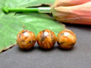 g3-2229@@킯 鉻 10mm 1 ؉ lR|X VR p[Xg[