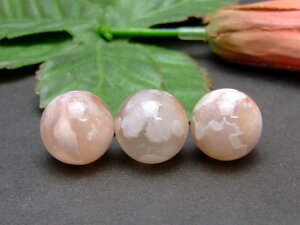 g3-2233E@@̔z  mE AQ[g 17mm AA 1 lR|X VR p[Xg[