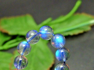 60835@@̔z 1 4mm 킯 uhCg D ӕʍρE{ۏ lR|X }_KXJY VR p[Xg[