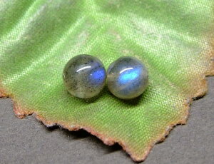 60841@@̔z 킯胉uhCg 6mm 1 ӕʍρE{ۏ lR|X }_KXJY VR p[Xg[