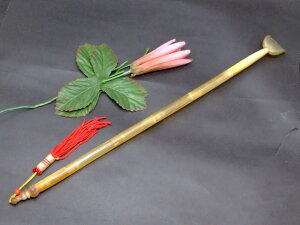 p216@@p ̎ ܂̂ w  EE{fB̃p}bT[W e }bT[Wp  VR