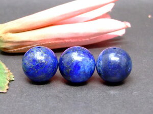 g3-796A@@̔z sXY ڗ 16mm A 1 ӕʍρE{ۏ lR|X VR p[Xg[