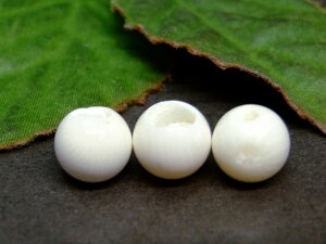 62689@@̔z 킯 10mm 1 X TS R[ lR|X AtJY VR p[Xg[