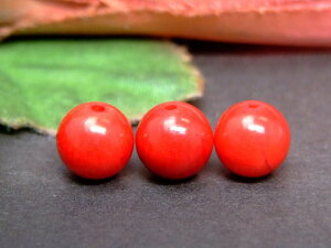 g3-341R@@8mm A 1 ԎX TS R[  lR|X AtJY VR p[Xg[