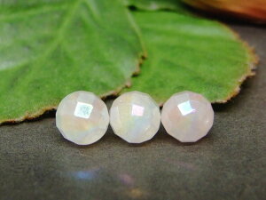 g3-80G�@�@���[�Y�N�H�[�c �A�N�A�I�[�� ���[�Y�I�[�� 8mm AA 64�ʃJ�b�g 1������ �l�R�|�X�������� �u���W���Y �V�R�� �p���[�X�g�[��