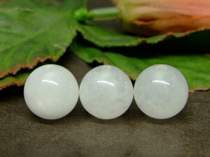 64234@@̔z 킯 12mm 1 Ő qXC WFCh  lR|X VR p[Xg[