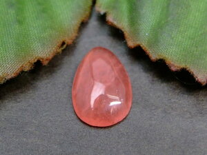 64315@@̔z 킯 ACXCJ[Y 13mm×8.5mm 1 [X  Ȃ y_ggbvɂ  A[`Y VR p[Xg[