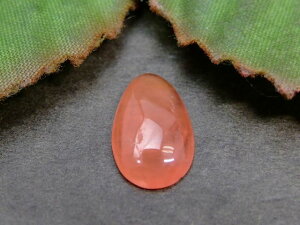 64323@@̔z 킯 ACXCJ[Y 13mm×8mm 1 [X  Ȃ y_ggbvɂ  A[`Y VR p[Xg[