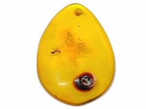 67638@@̔z 킯  Ao[  27mm×18mm 1 [X   y_ggbv  LVRY VR p[Xg[