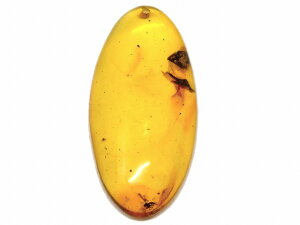 67651@@ Ao[  43mm×20mm 1 [X   y_ggbv  LVRY VR p[Xg[