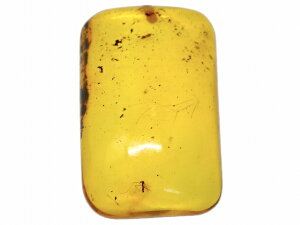 67653@@ Ao[  37mm×22mm 1 [X   y_ggbv  LVRY VR p[Xg[