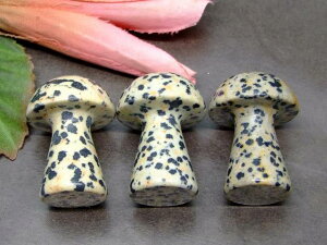 k3-100A@@_VAWXp[ 35mm×25mm 1 ̂ LmR lR|X VR p[Xg[