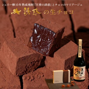 yUf̐`R@z𑢁uVg̗UfvgpIMtgv[gɁBp̎񂰑ܕt@`R[g@2025@߃Mtg@َq @@킢