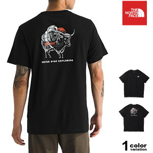 �U �m�[�X�t�F�C�X T�V���c THE NORTH FACE T�V���c ���� �����Y �o�b�N�v�����g ���S ( the north face Evolution Vault Tri Pack Tee �e�B�[�V���c �J�b�g�\�[ �g�b�v�X �����Y ���f�B�[�X NF0A8FNA �U�E�m�[�X�E