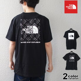 ザ ノースフェイス Tシャツ THE NORTH FACE Tシャツ 半袖 メンズ ボックス ロゴ ( the north face M S/S BOX NSE TEE 2024 ティーシャツ カットソー トップス メンズ レディース NF0A812H new ザ・ノース・フェイス USライン)【メール便対応】