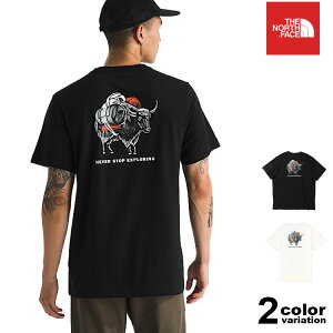 �U �m�[�X�t�F�C�X T�V���c THE NORTH FACE T�V���c ���� �����Y �o�b�N�v�����g ���S ( the north face Evolution Vault Tri Pack Tee �e�B�[�V���c �J�b�g�\�[ �g�b�v�X �����Y ���f�B�[�X NF0A8FNA �U�E�m�[�X�E
