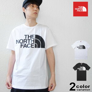 ザ ノースフェイス THE NORTH FACE Tシャツ 半袖 メンズ ハーフドーム ロゴ ( the north face M STANDARD SS TEE 2022春夏 ティーシャツ カットソー トップス メンズ レディース NF0A4M7X ザ・ノース・フェイス E