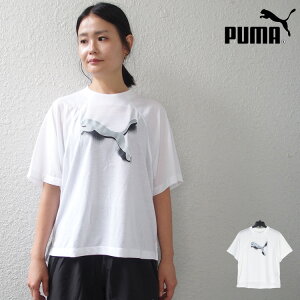 yv[} TVc fB[Xz  TVc PUMA fB[X I[o[TCY MODERN SPORTS TVc TEE Vc X|[cEFA g[jOVc jO WMO W tBbglX #6755