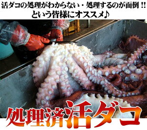 ^R@ ^R ~Y^Ry   10`15{O@10kgz u݁vhg  ^R uvԌ ̓ ̓  Ε Mtg