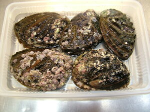 Ar VR@с@uv yAr 150gO-5zy݁z  VRAr kCY G]Ar ڈ΂с@Ԍ ̓ ̓  Ε Mtg