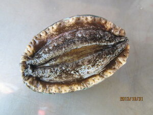 Ar VR@с@uvyAr 1-50gOz VRAr kCY G]Ar ڈ΂ Ԍ ̓ ̓  Ε Mtg