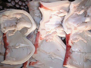  ^R  yς 500g×5zu݁v{b` hg g vԌ ̓ ̓  Ε Mtg