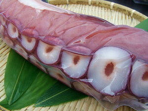  ^R hg^Ryσ^R@hg@呫1kg@2{ 2kgOzu݁vhg^R@{C^R 䥂Ń^R @zՑ储Ԍ ̓ ̓  Ε Mtg