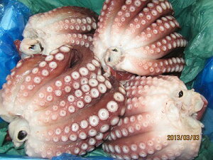 Ă@hg^R@ y {C@Lt^R@4 `6itO]5kgz u݁vhg UM ς Ԍ ̓ ̓  Ε Mtg