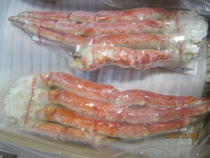 Jj ^oKj yⓀ^oK 1.5kgO㔼gz u݁v {C ΂ R Ԍ ̓ ̓  Ε Mtg