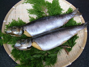 jV ɂ yqjV 1{-300gO ۊɂz Ԍ ̓ ̓  Ε Mtg