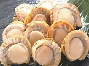 z^e ق yⓀ {Cz^e 1kg-20Oz kCY  Ԍ ̓ ̓  Ε Mtg