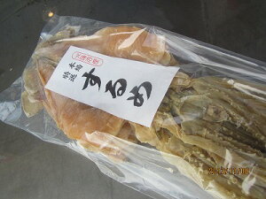 イカ いか スルメイカ【乾燥スルメイカ 5枚入り(中)】するめいか 【送料込み】 お花見 母の日 父の日 お中元 お歳暮 ギフト