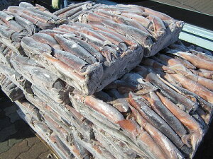 冷凍イカ 魚介類の人気商品 通販 価格比較 価格 Com 冷凍イカ 魚介類の人気商品 通販 価格比較 価格 Com