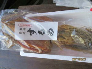 イカ いか スルメイカ【 乾燥するめいか 10枚束-900g前後(大)】「送料込み」お花見 母の日 父の日 お中元 お歳暮 贈答 ギフト