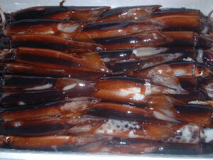 CJ @ uCJTVvyXCJCJ 200gO-10 zu݁v X ^CJ CJh@ًsY Ε  Mtg