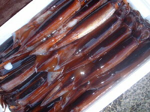 CJ @uCJTVvyXCJCJ 150gO-25tzu݁v luv X  CJh