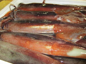 CJ  XCJ yCJ 1t]300gO10tijzy݁zl芈 X  CJh@jΕ  Mtg