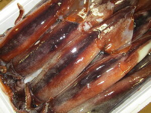 CJ @ uTV~CJv yXCJ 1t-200gOz l芈 X  CJh@ Ε  Mtg