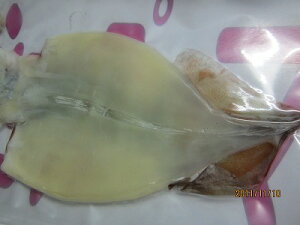 CJ  XCJ yJ 1200gO 2z Ԍ Ε  Mtg