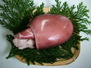 @~Y^R yσ^R@ 1kgOzu݁vwbh {b` Ă ^RĂ@hg {C@ UM Ԍ ̓ ̓  Ε Mtg