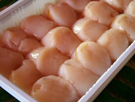 ホタテ ほたて【冷凍ホタテ貝柱 400g15粒前後2個大】「送料込み」 生ほたて貝柱 お花見 母の日 父の日 お中元 お歳暮 ギフト