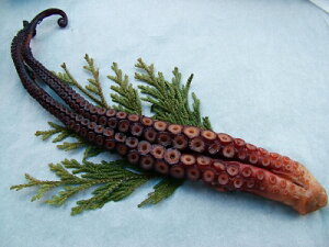  ^R ~Y^R y_  2{-1kgzu݁v_ ^RX[N Ԍ ̓ ̓  Ε Mtg