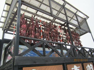 @^R y @@XCX300g2z@^[pbNő @t^R @~Y^R @XCX Ԍ ̓ ̓  Ε Mtg