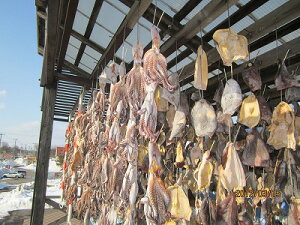 X@f^R@yX Ltp]300gOzu^[pbNőv Y@ X^R@ Ԍ ̓ ̓  Ε Mtg